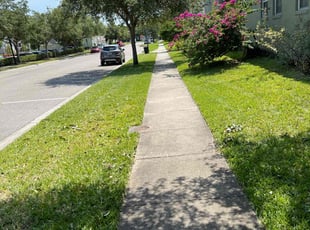 Bush Trimming by Alex Wood for Mario C. in Orlando, FL