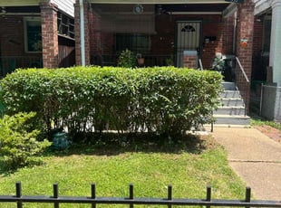 Bush Trimming by Caree Keith for maritza v. in Washington, DC