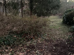 Ryan M.'s Bush Trimming service result