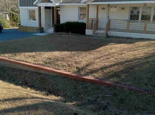 Katina B.'s Lawn Mowing service result