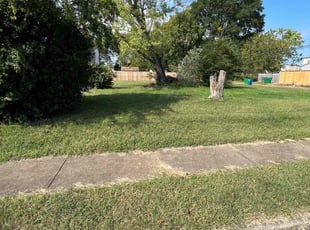 Bush Trimming by LaWanda Moses for Rose W. in Richmond, VA
