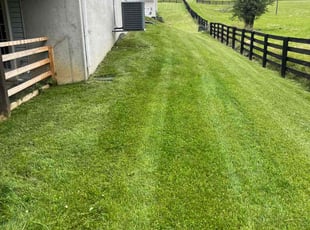 Chris C.'s Lawn Mowing service result