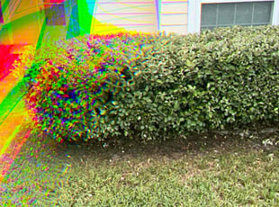 Bush Trimming by Kelvin Williams for Jonathan B. in Jacksonville, FL