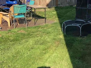 Veronica L.'s Lawn Mowing service result
