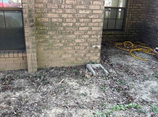 Kenneth C.'s Bush Trimming service result