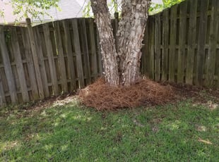 Cleanups by Marcus Rouse for Carol N. in Bessemer, AL