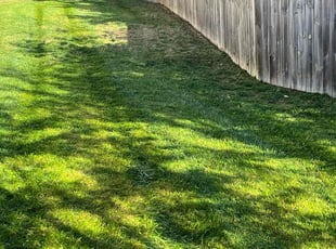 Hal P.'s Yard Cutting service result