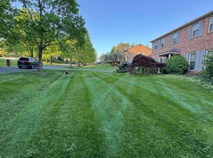 Garrett R.'s Lawn Service service result