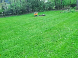 Bridgest D.'s Lawn Mowing Service service result