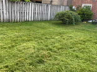 Connor R.'s Cleanups service result