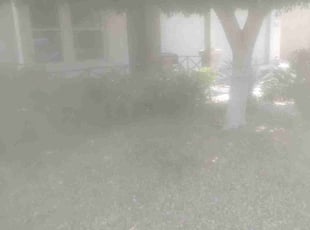 Rodger W.'s Leaf Removal service result