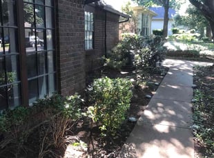 Leaf Removal by Gralin Johnson for Jimmy R. in Arlington, TX