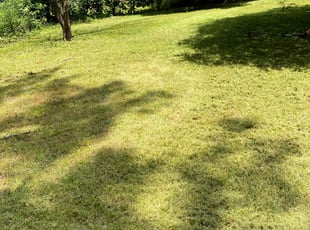 Cleanups by Maria Mauro for Nick N. in Lawrenceville, GA