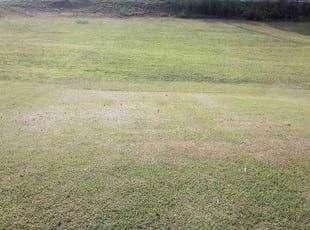 Cleanups by Elvin Dobbs for Steven S. in Powder Springs, GA