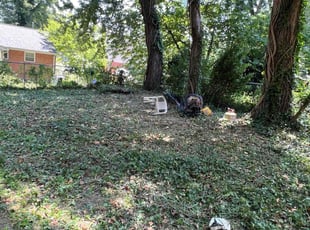 Bush Trimming by Jairon Villagran for Dawn F. in Silver Spring, MD