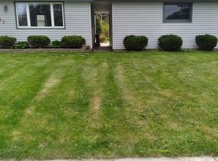 Bush Trimming by Lamel Sloan for Mary M. in West Allis, WI