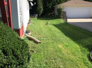 Bush Trimming by Lavelle Jackson for Brian R. in Glendale, WI
