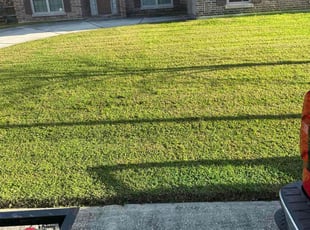 Matt or Brianna G.'s Lawn Maintenance service result