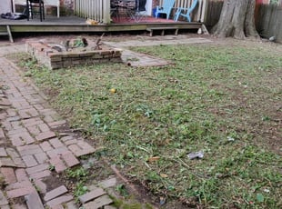 Cleanups by Chris Steinhour for Kelley D. in Columbus, OH