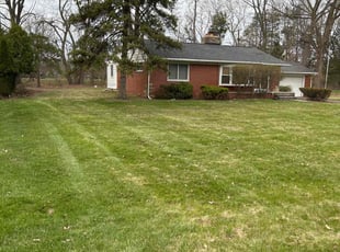 Leaf Removal by Laray Shipman for Emelda D. in Southfield, MI