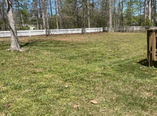 Leaf Removal by Kunique Billups for Maria H. in Midlothian, VA