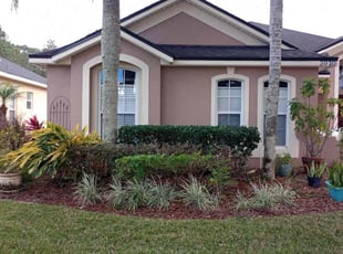 Bush Trimming by Mike Douglas for Joe D. in Oviedo, FL