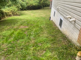 Brooke G.'s Leaf Removal service result