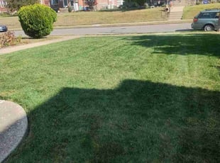 Donna T.'s Lawn Service service result