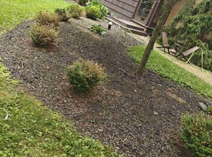 Weeding by Chris Steinhour for Christopher C. in Worthington, OH
