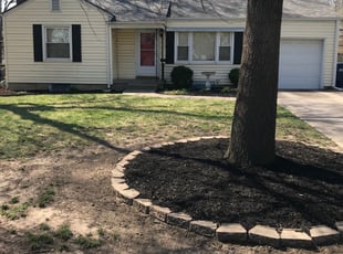 Cleanups by Eric Jamison for Sarah S. in Mission, KS