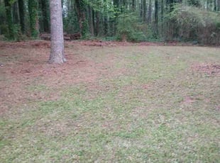 Leaf Removal by Joshua Walker for Greg B. in Tucker, GA