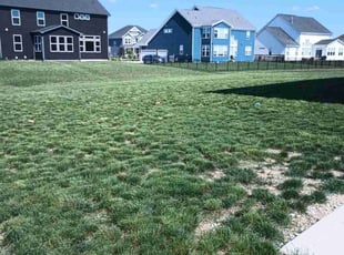 Cleanups by Glenn Carter for Anthony D. in Greenwood, IN