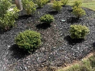 Weeding by Enrique Juarez for Gavin M. in Cherokee County, GA