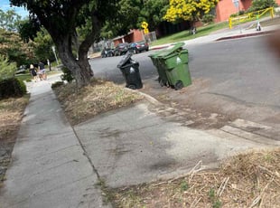 Leaf Removal by Robert Camarena for C G. in Los Angeles, CA