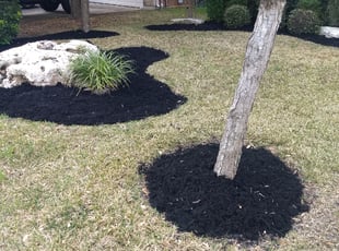 Mulching by Cesar Lopez for Damion S. in Cedar Park, TX