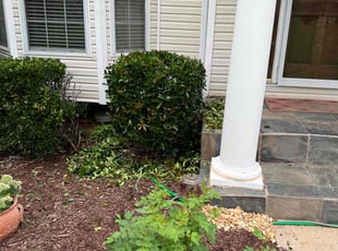 Bush Trimming by Andrew White for Nykie G. in Ellenwood, GA