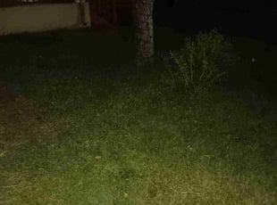 Cleanups by Jeffery Kasan for Gabriel W. in San Antonio, TX