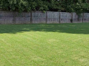 PJ M.'s Lawn Mowing Service service result