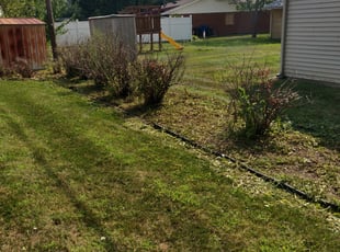Weeding by Chris Steinhour for Michelle C. in Westerville, OH