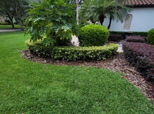 Bush Trimming by Carlos Martinez for Jen M. in Windermere, FL