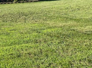 Bush Trimming by Lenard Cutler for Kristi G. in Chester, VA
