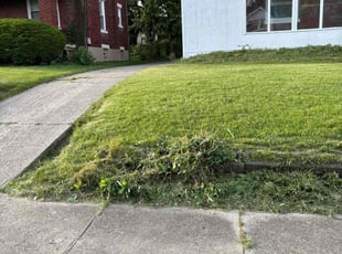 Leaf Removal by Jerrann Wright for Christopher S. in Cincinnati, OH