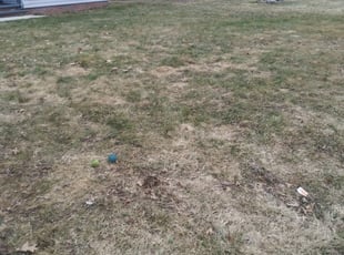 Leaf Removal by Willie Tisdel for Brandon G. in Cleveland Heights, OH