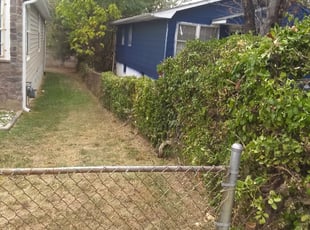 Bush Trimming by Greg Bush for Latoya W. in Washington, DC