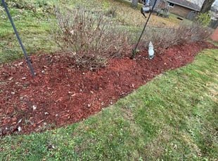 Weeding by Francisco Silva for Therese S. in North Aurora, IL