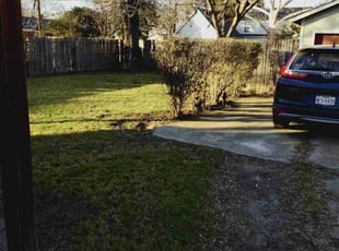 Cleanups by Ashley Spitz for Natalie L. in Fort Worth, TX