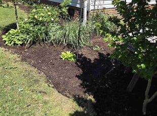 Mulching by MARVIN MAY for Mary C. in Kenly, NC