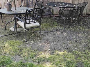 Weeding by Nathaniel Howard for Landis T. in Richmond, VA