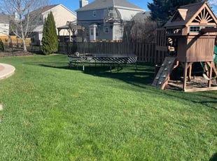 Valerie S.'s Lawn Care service result