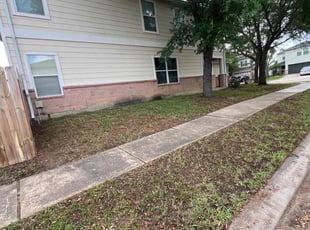Leaf Removal by Thomas Ruiz for Tierra B. in Cypress, TX